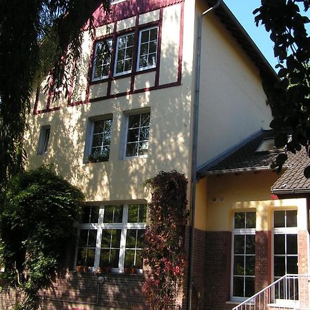Kleines Apartment In Moenchengladbach-Neuwerk Zewnętrze zdjęcie