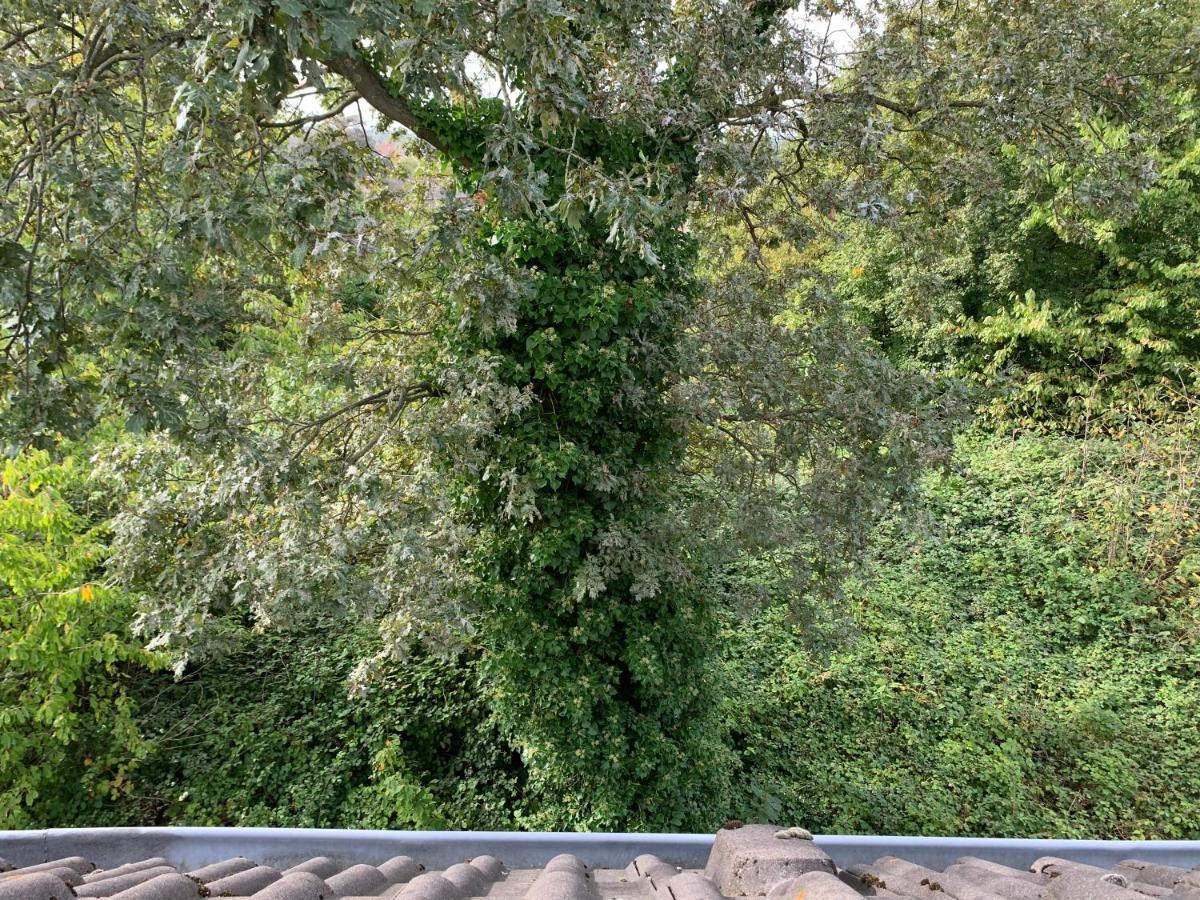 Kleines Apartment In Moenchengladbach-Neuwerk Zewnętrze zdjęcie